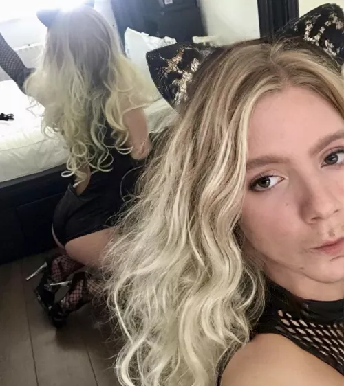 Can I be your catgirl 🐯