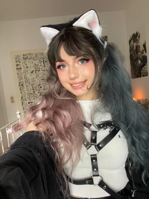 Can I be your kitten?