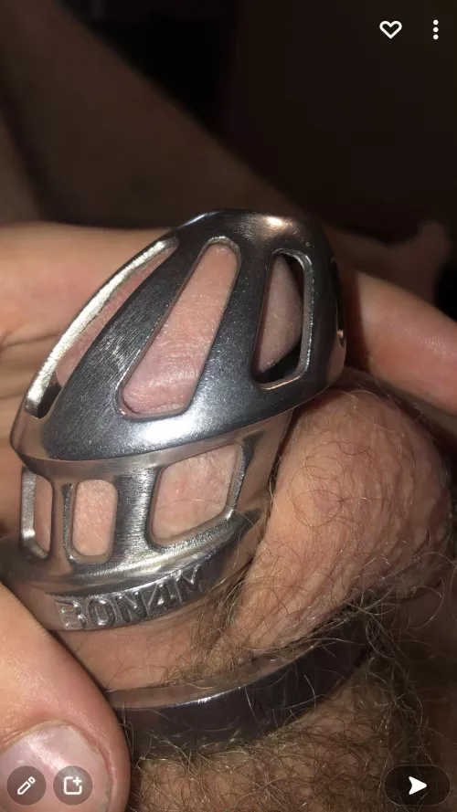 Can I get some love for the first cage 🥰