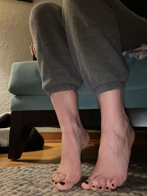 Can i stash some toes in your mouth for a few