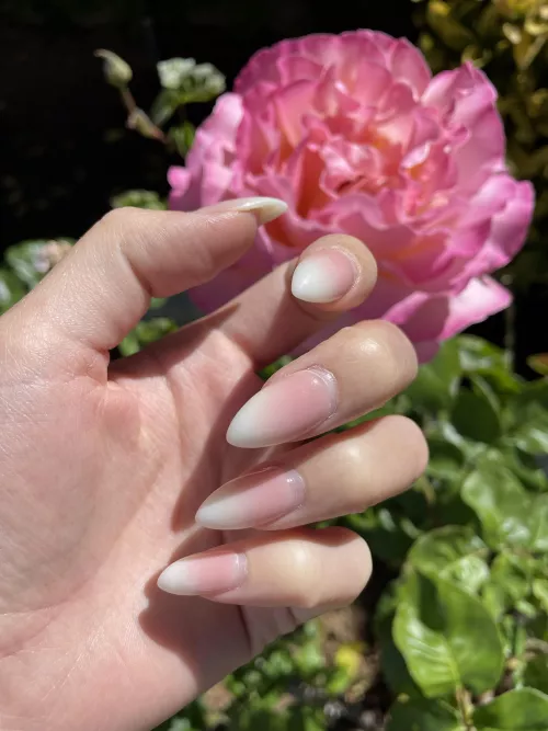 Can I wrap these around your cock