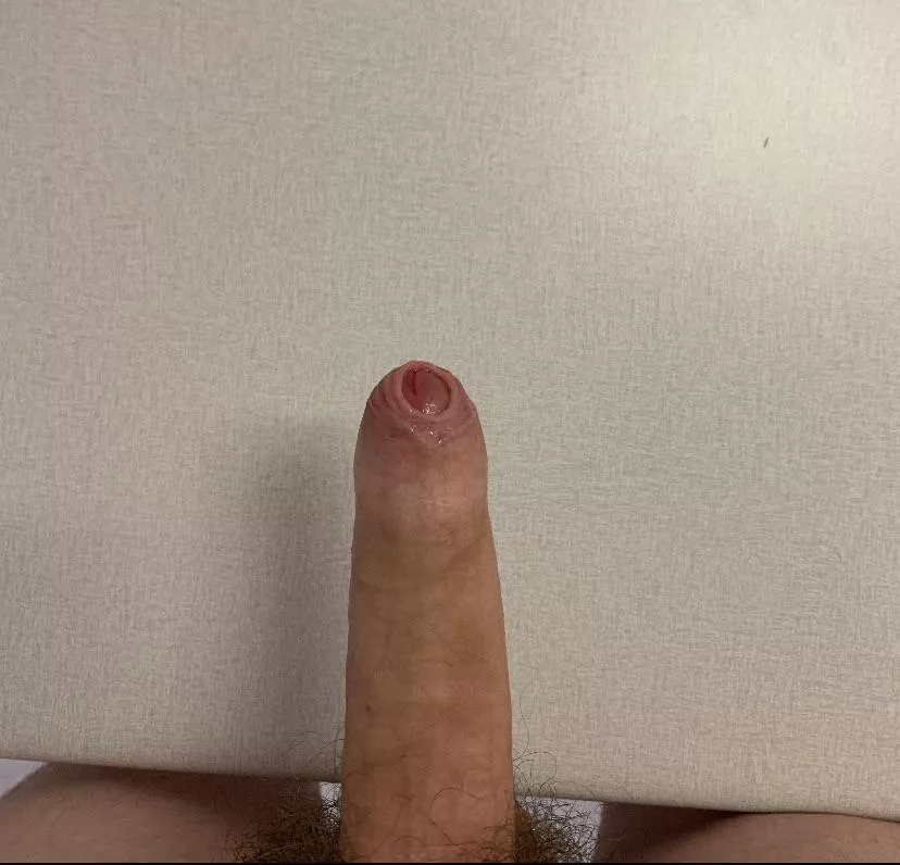 Can someone cum tribute my dick rn?