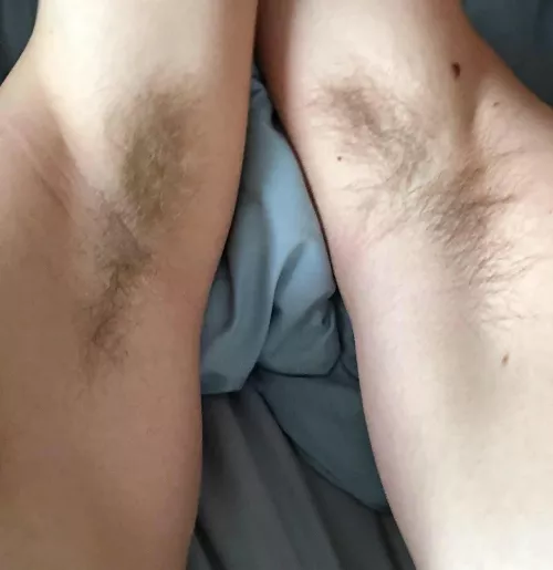 Care to give us a lick?