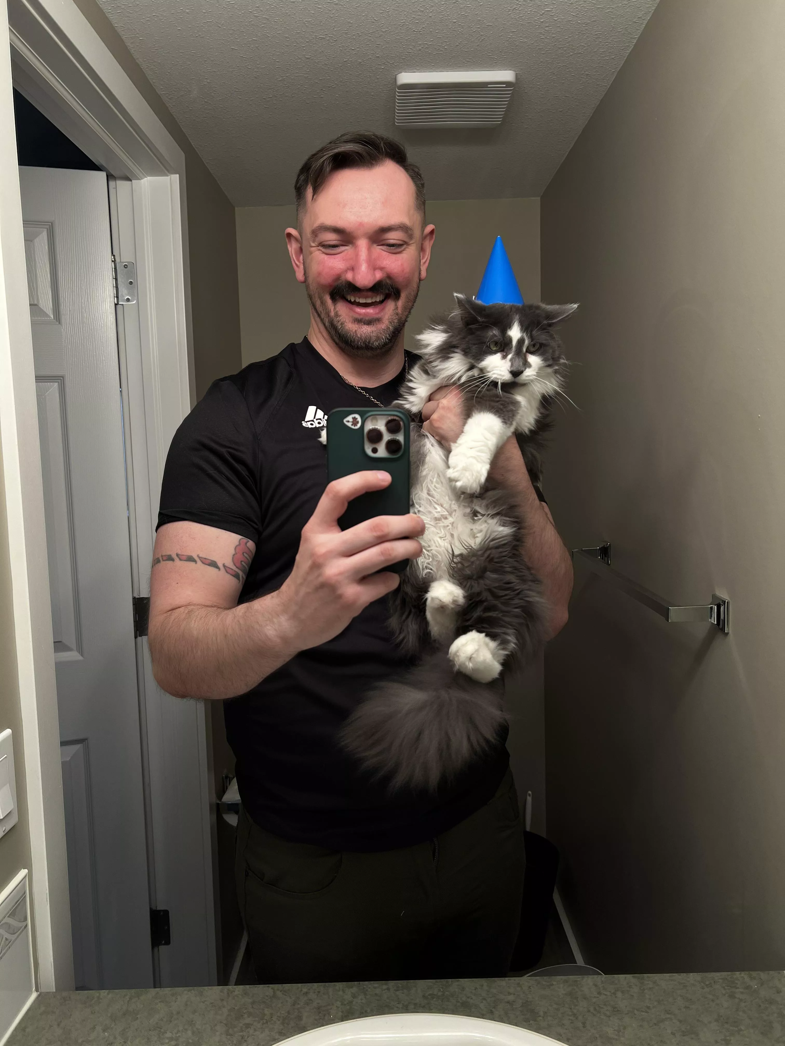 Cat party!