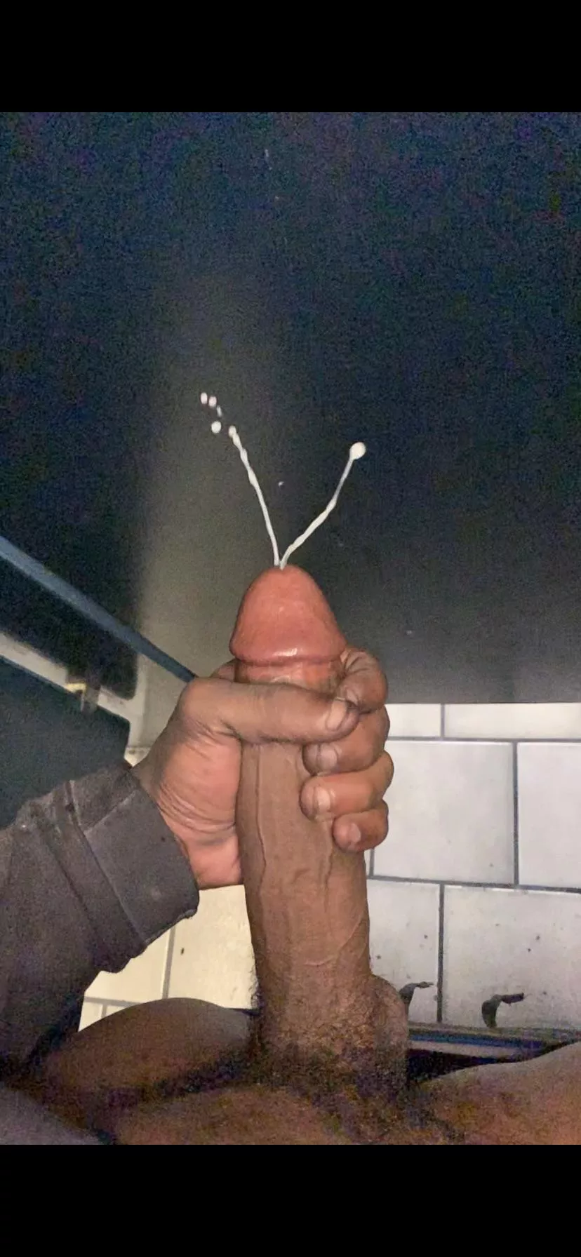 catch this nut