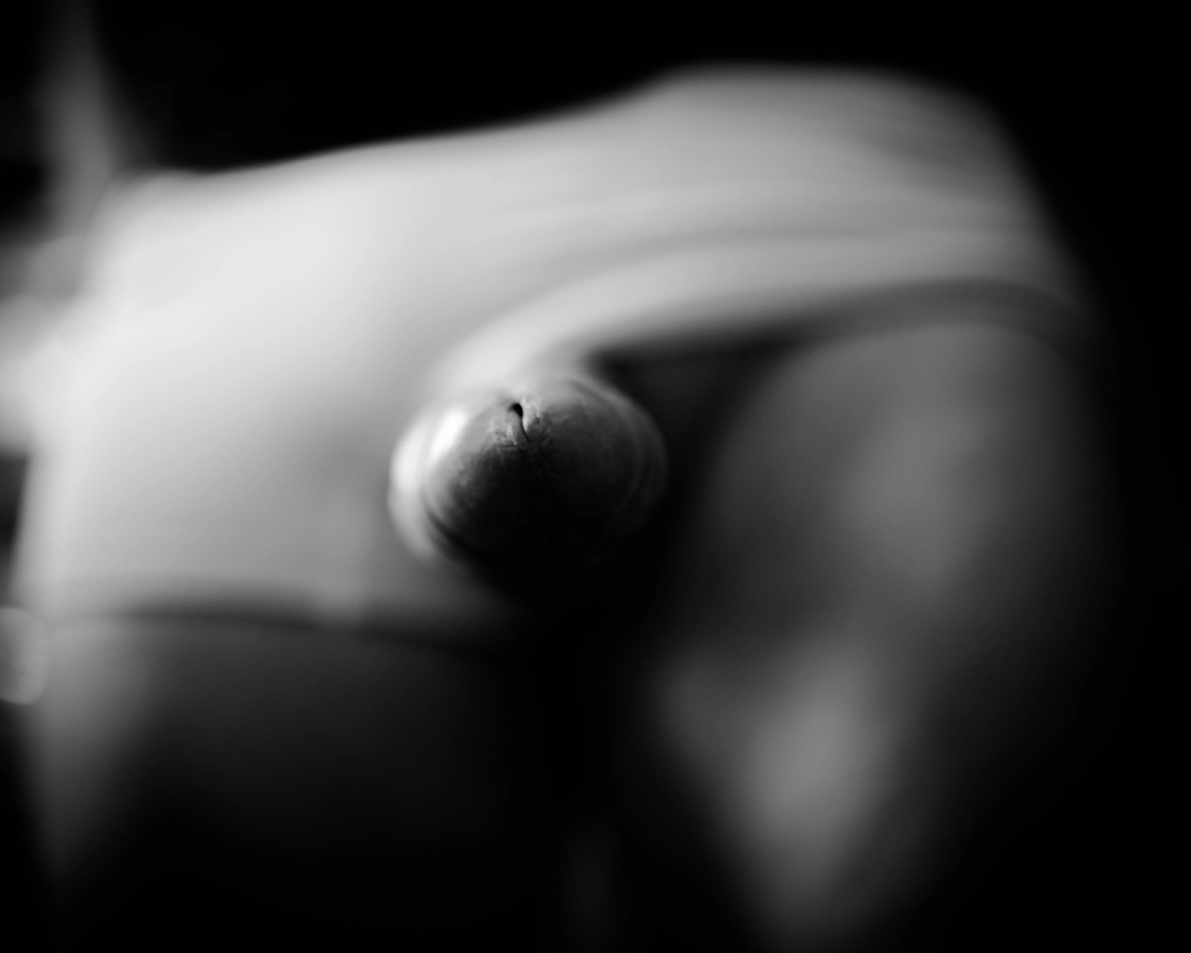 Catching a glimpse
