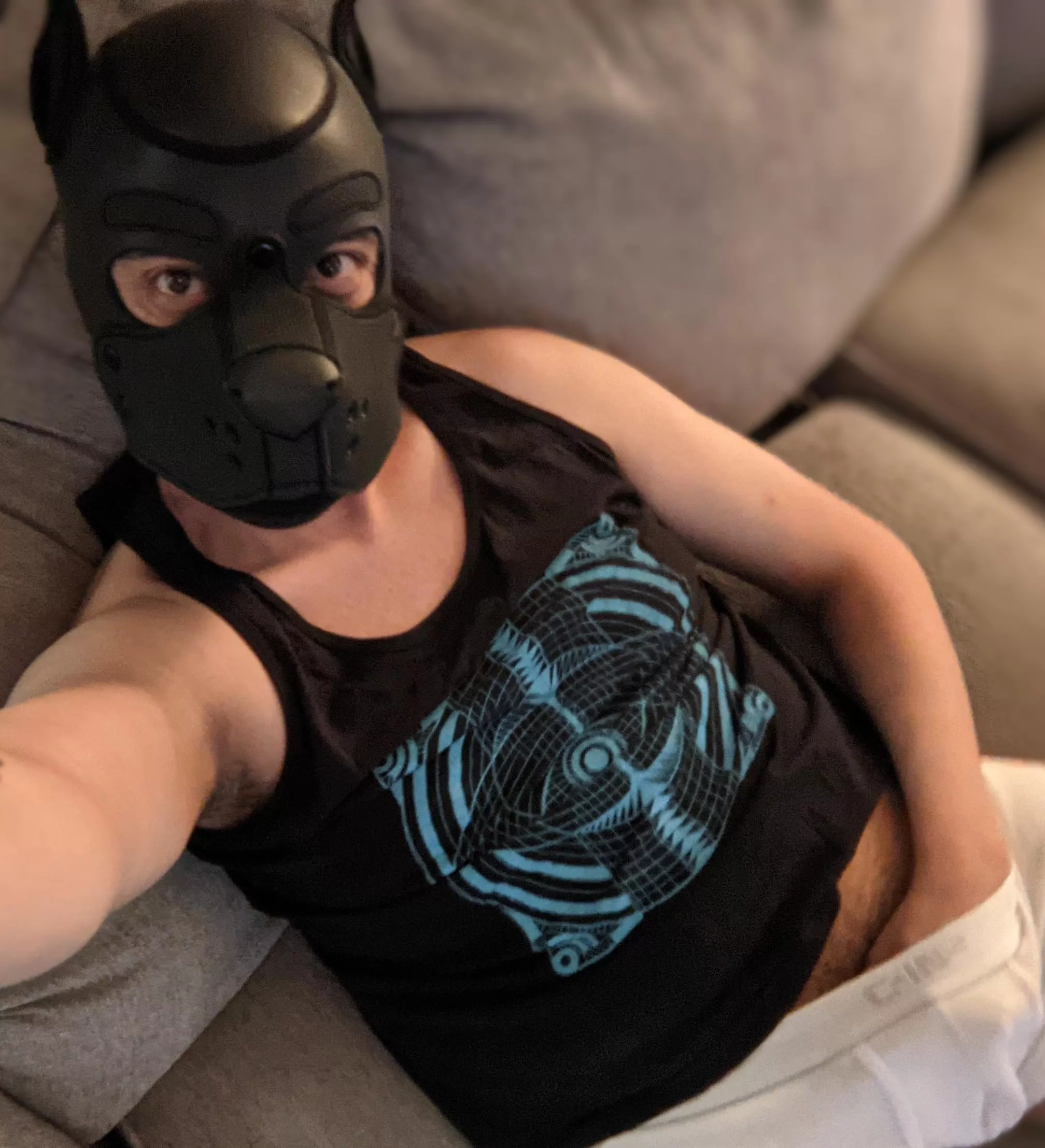 chilling pup