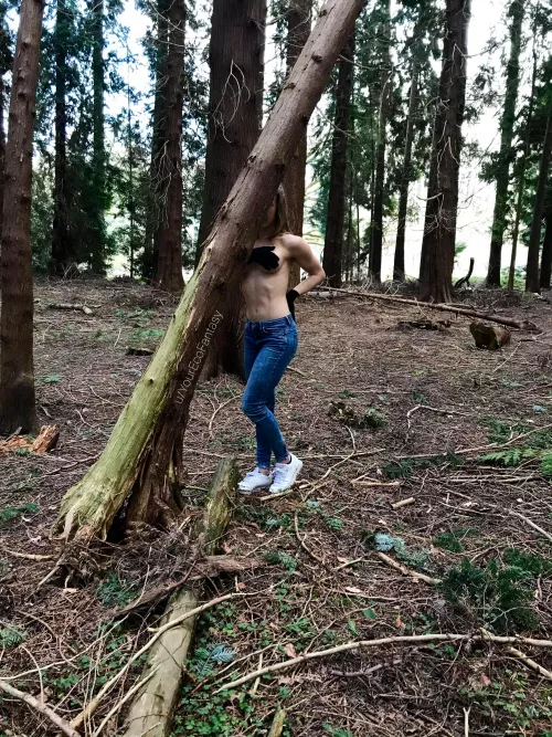 Chilly Sundays... 🥶🌲 [f]