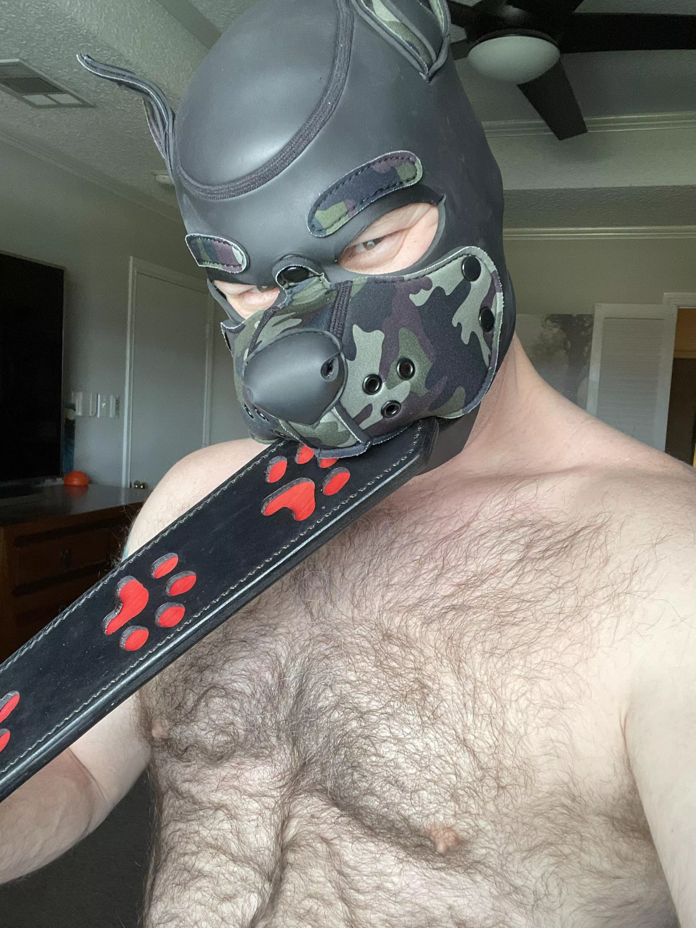 Chomp
