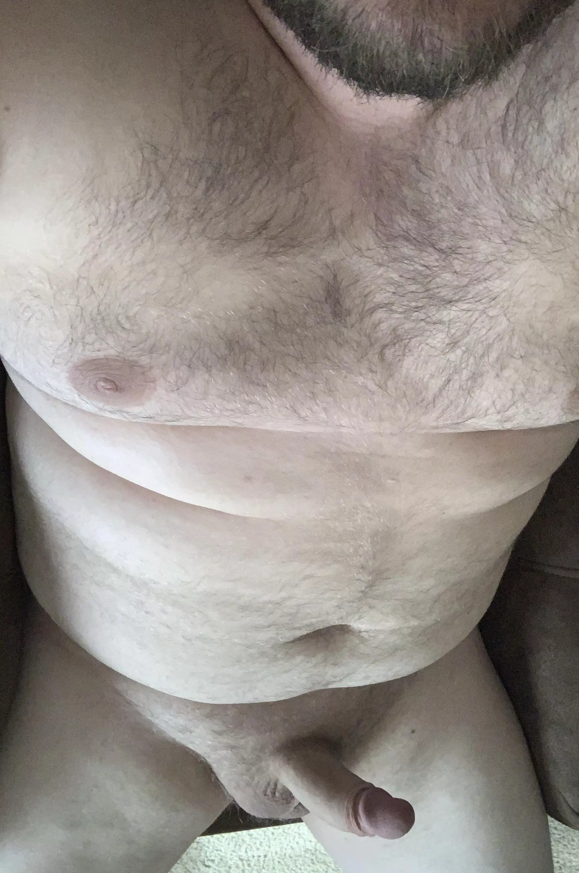 Chubby all over