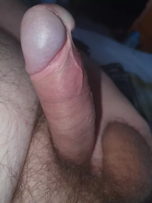 Chunky Daddy needs a willing mouth around his cock