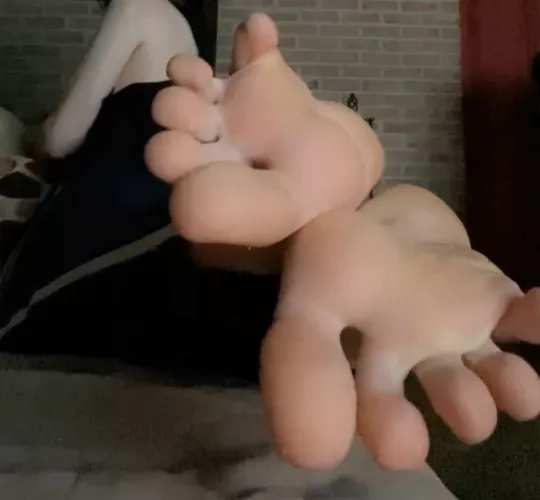 clean them for me? :3