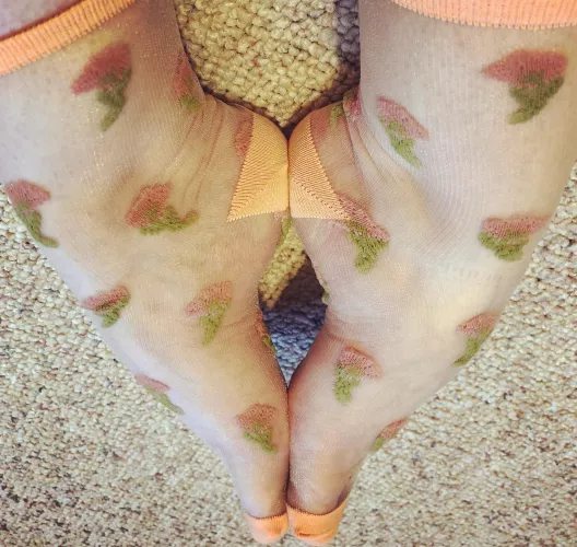 Clear flower socks 🌺 F