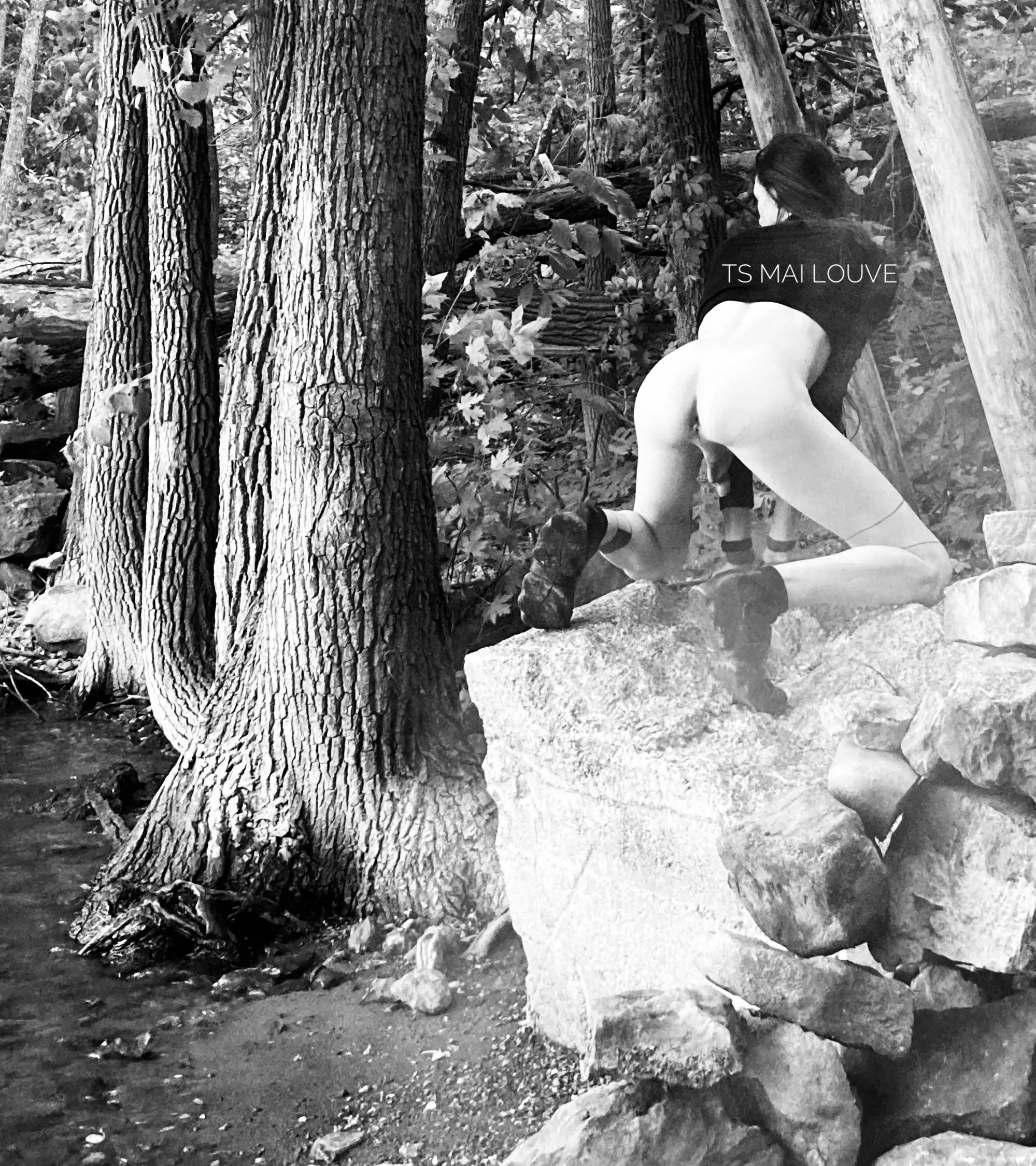Climb to me!🌳