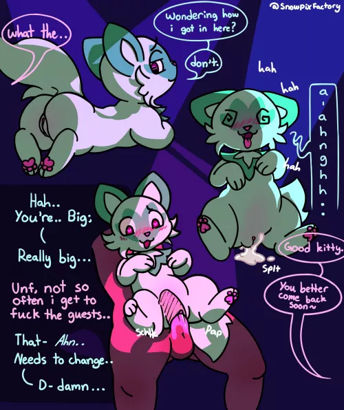 Club cat [MF] (Snowpixfactory)