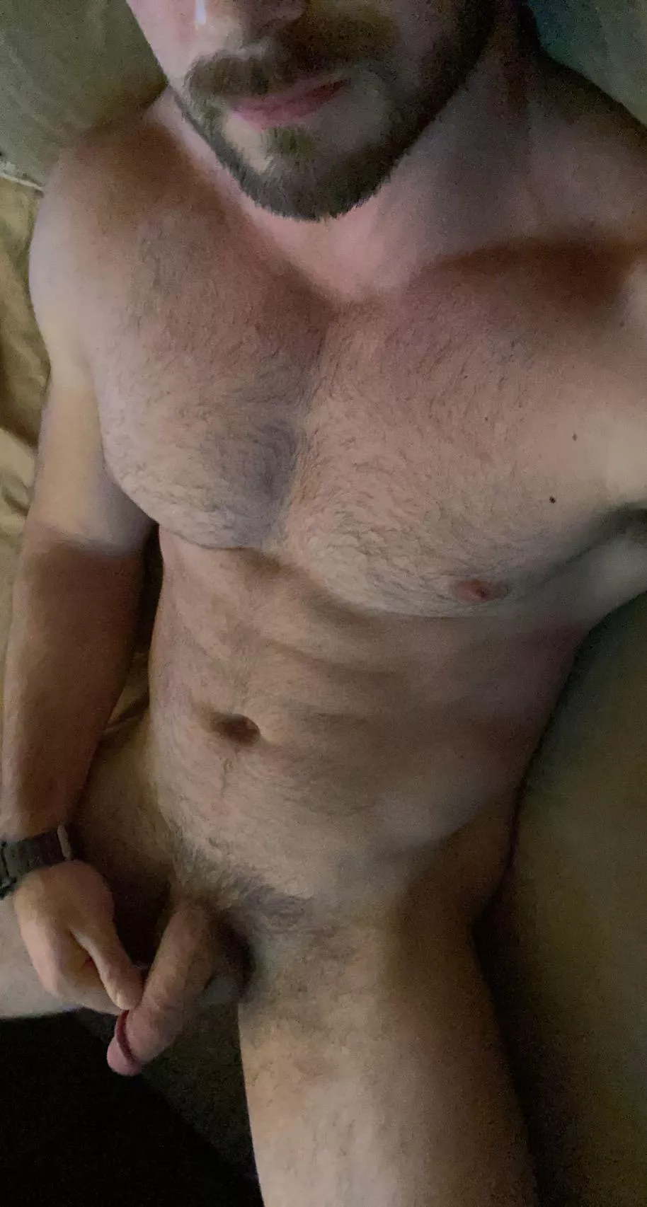 Cock