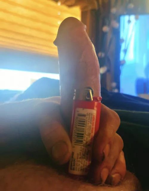 #cockcompare