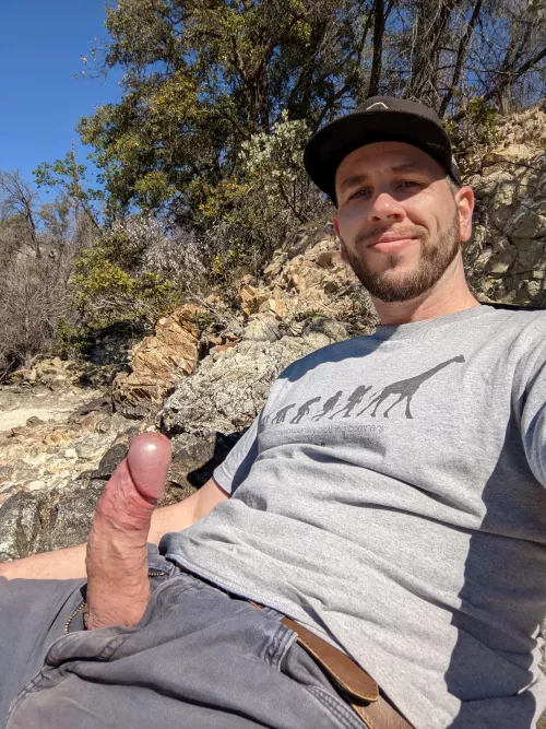 Cocks out picnic 😉