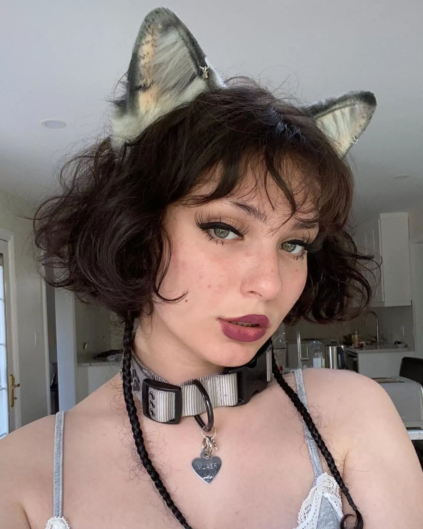 collared pup