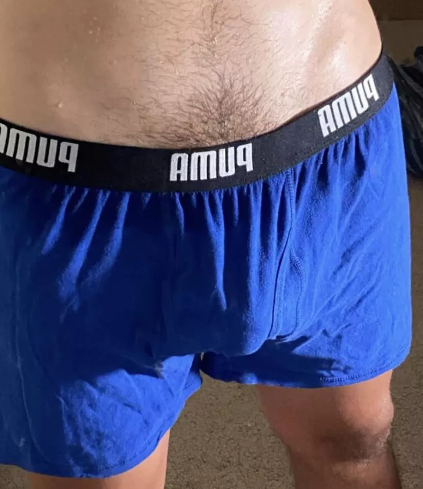 College boy pubes 😈