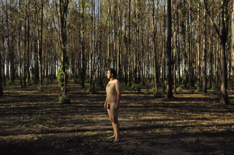 Contemplating 💙🌲