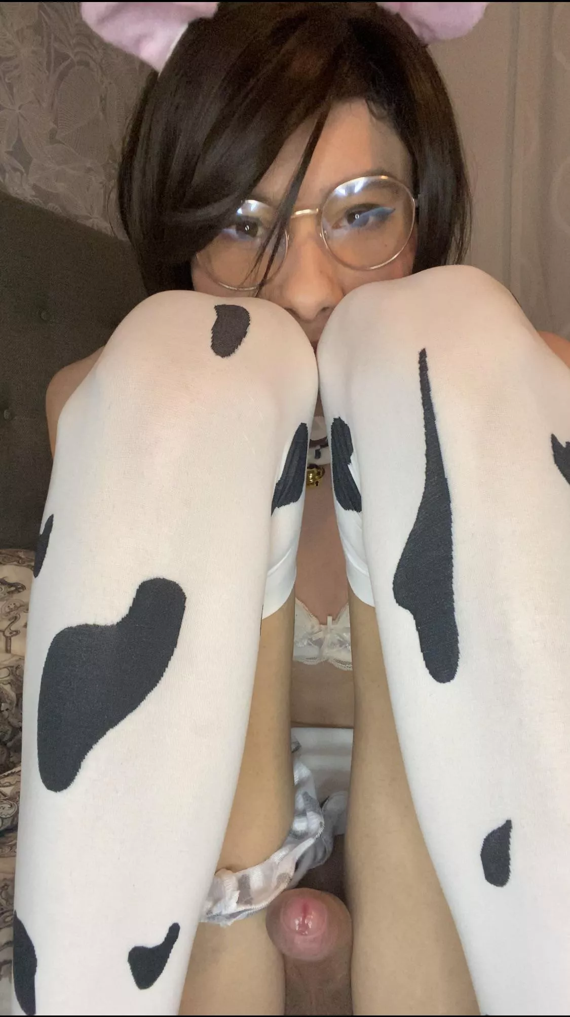 Cow with pp 🐮