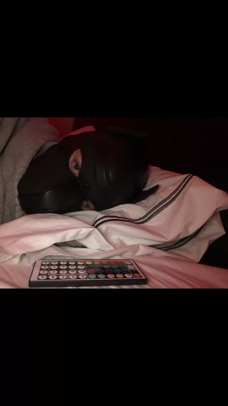Cuddles?!🥺