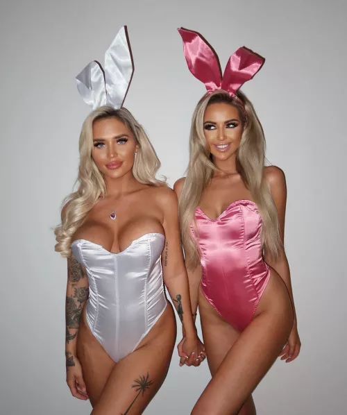 Cute Bunnies