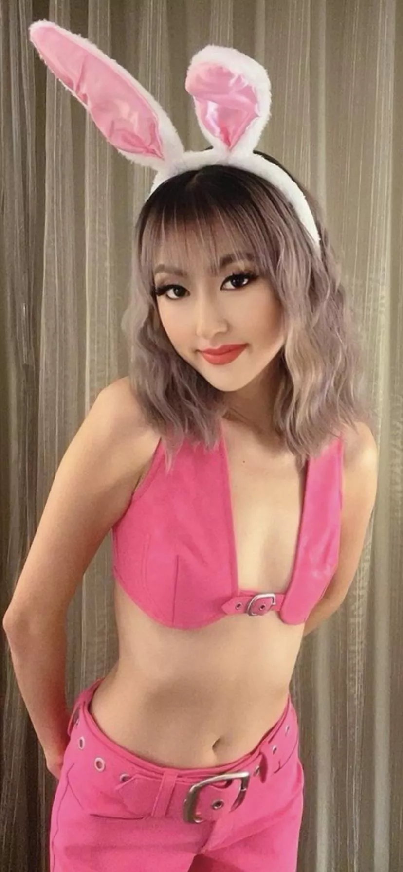 Cute bunny