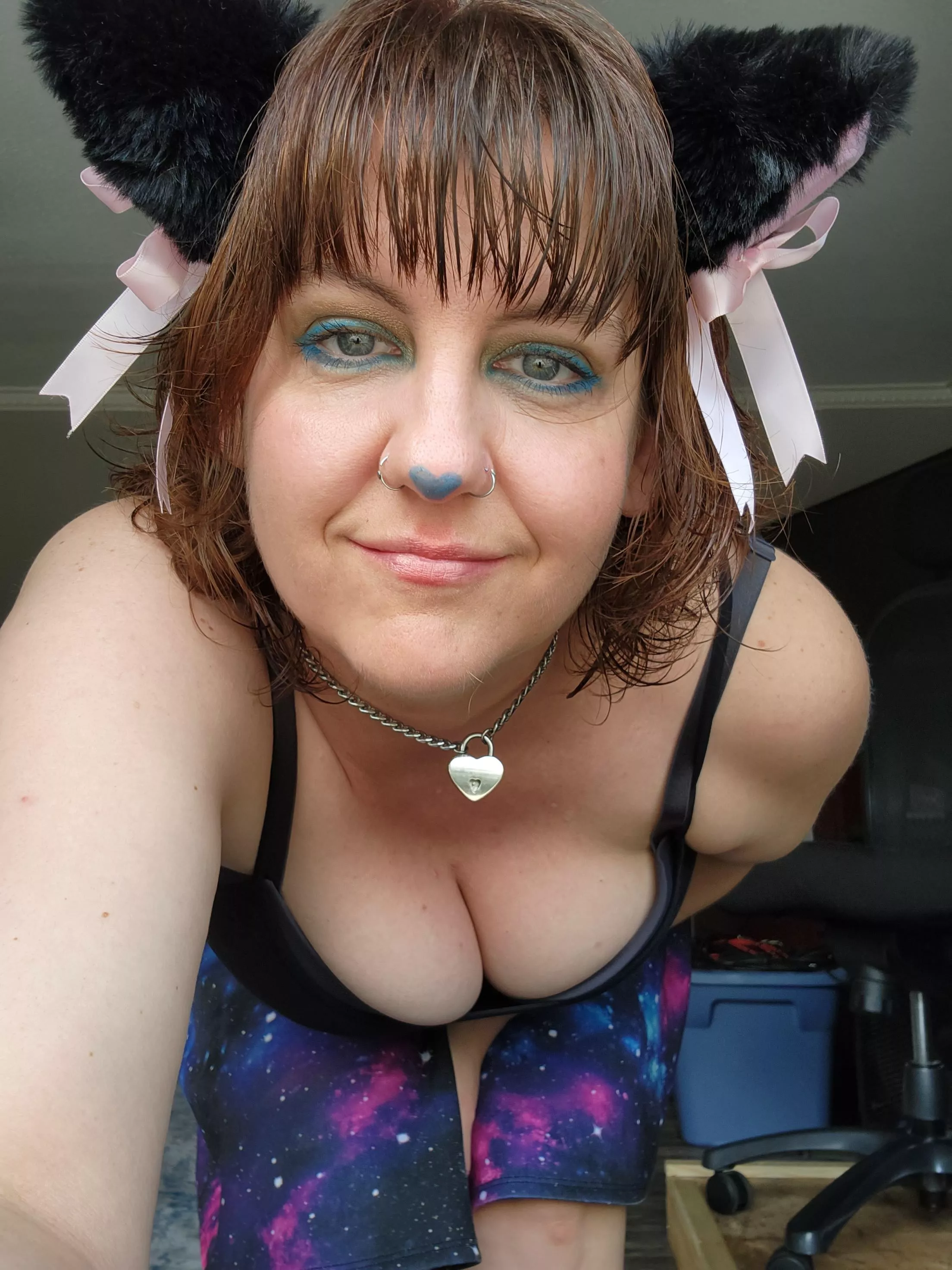 Cute kitten day