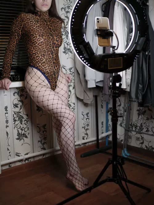 cute little kitten 🐱