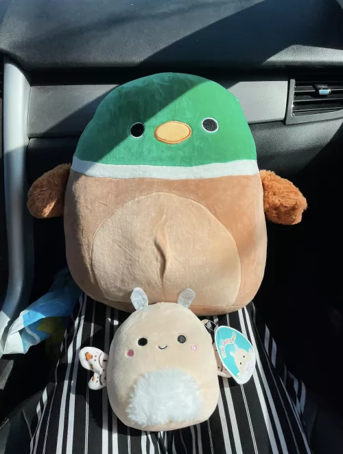 Daddy comin’ in clutch with the squishmallow hunt - avery & berit 🦋🤍🦆