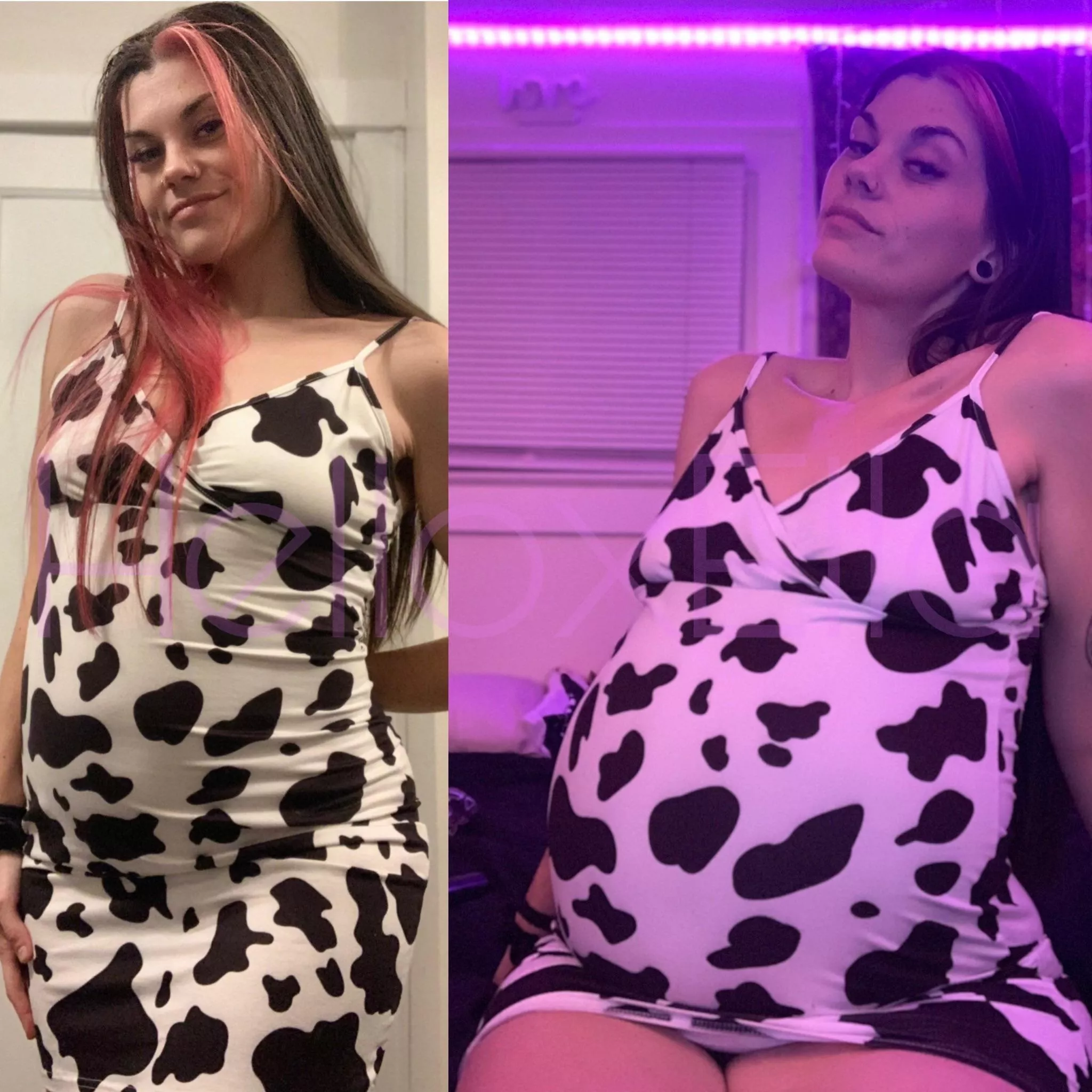 Dare me to say moo?