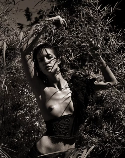 Diana Dondoe</>The Patrick Demarchelier</>Pirelli[2005]*This is the kind of tribute the legend*