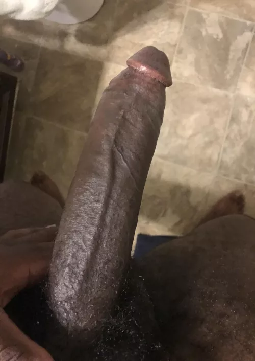 Dick 🍫