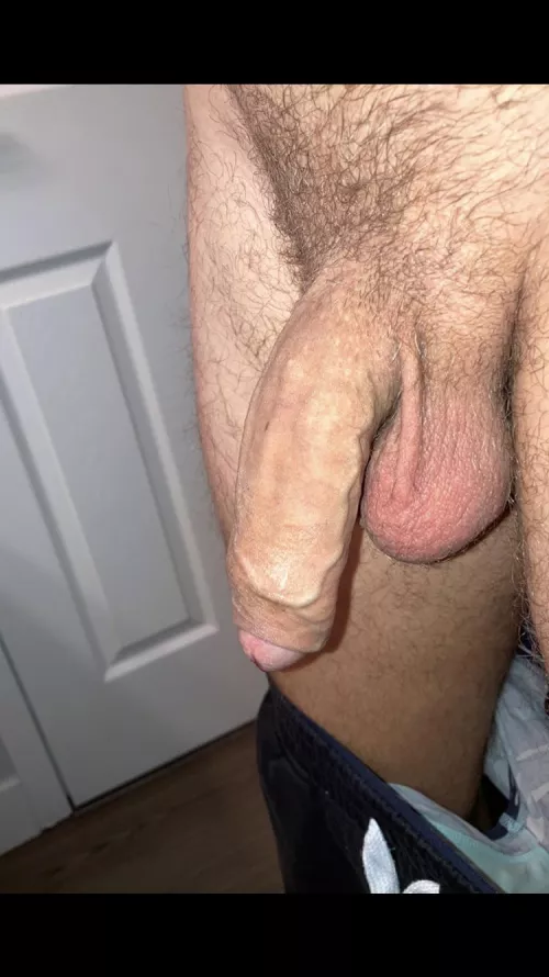Dick was looking fine this morning 👀 Link in bio