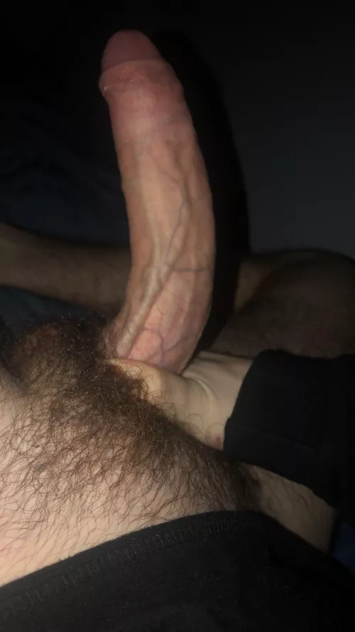 dm if youre tryna help with this boner
