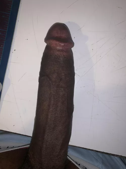 DM’s Open RDU Area