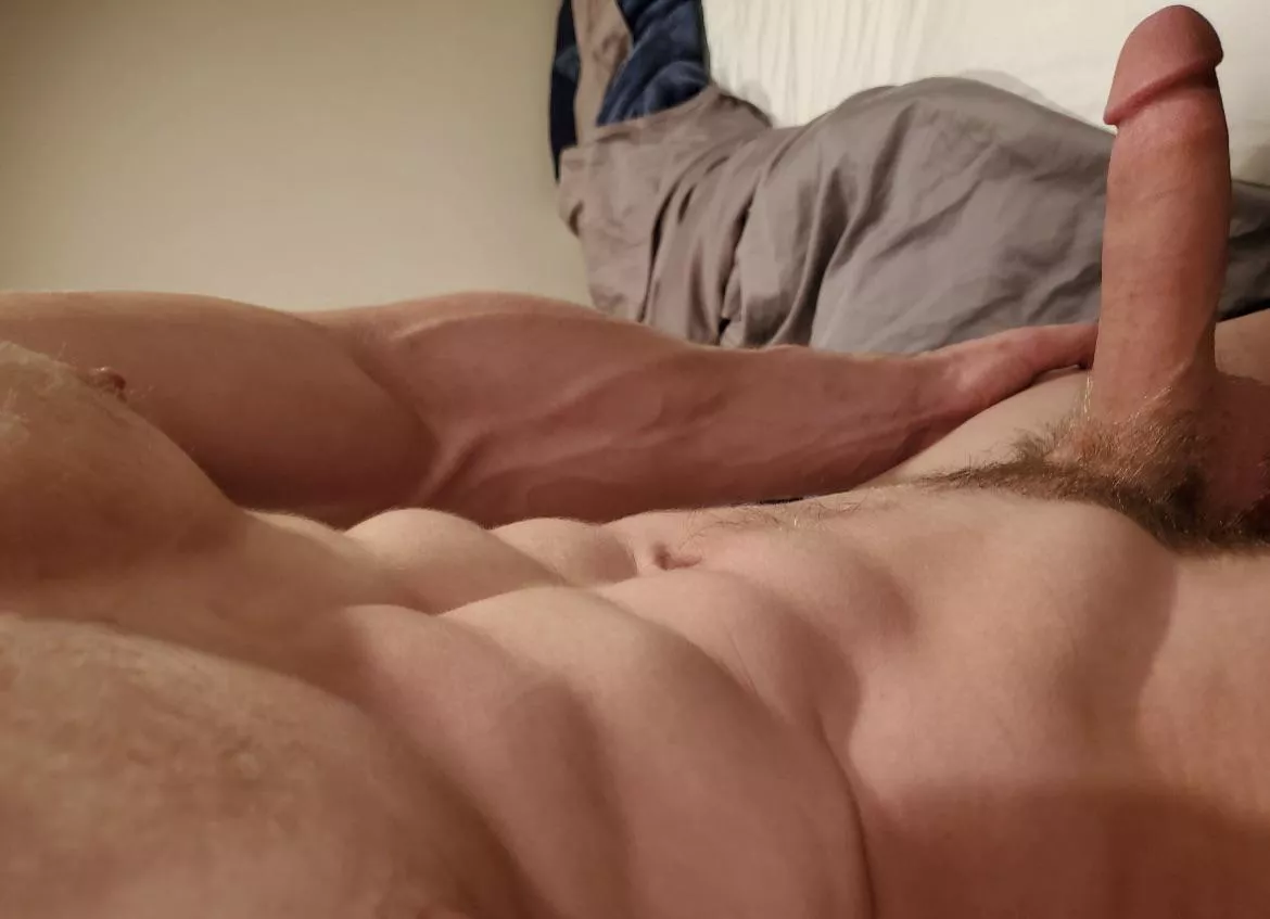 Dms opennn
