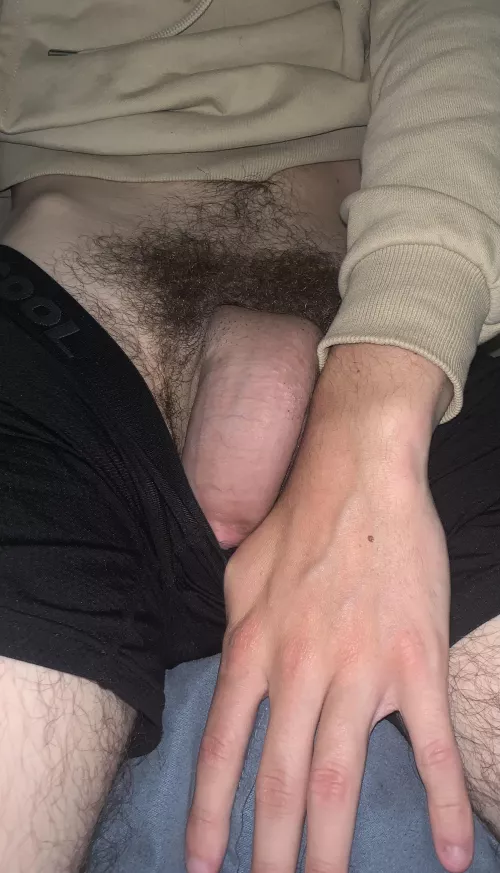 Do u like big hairy cock?