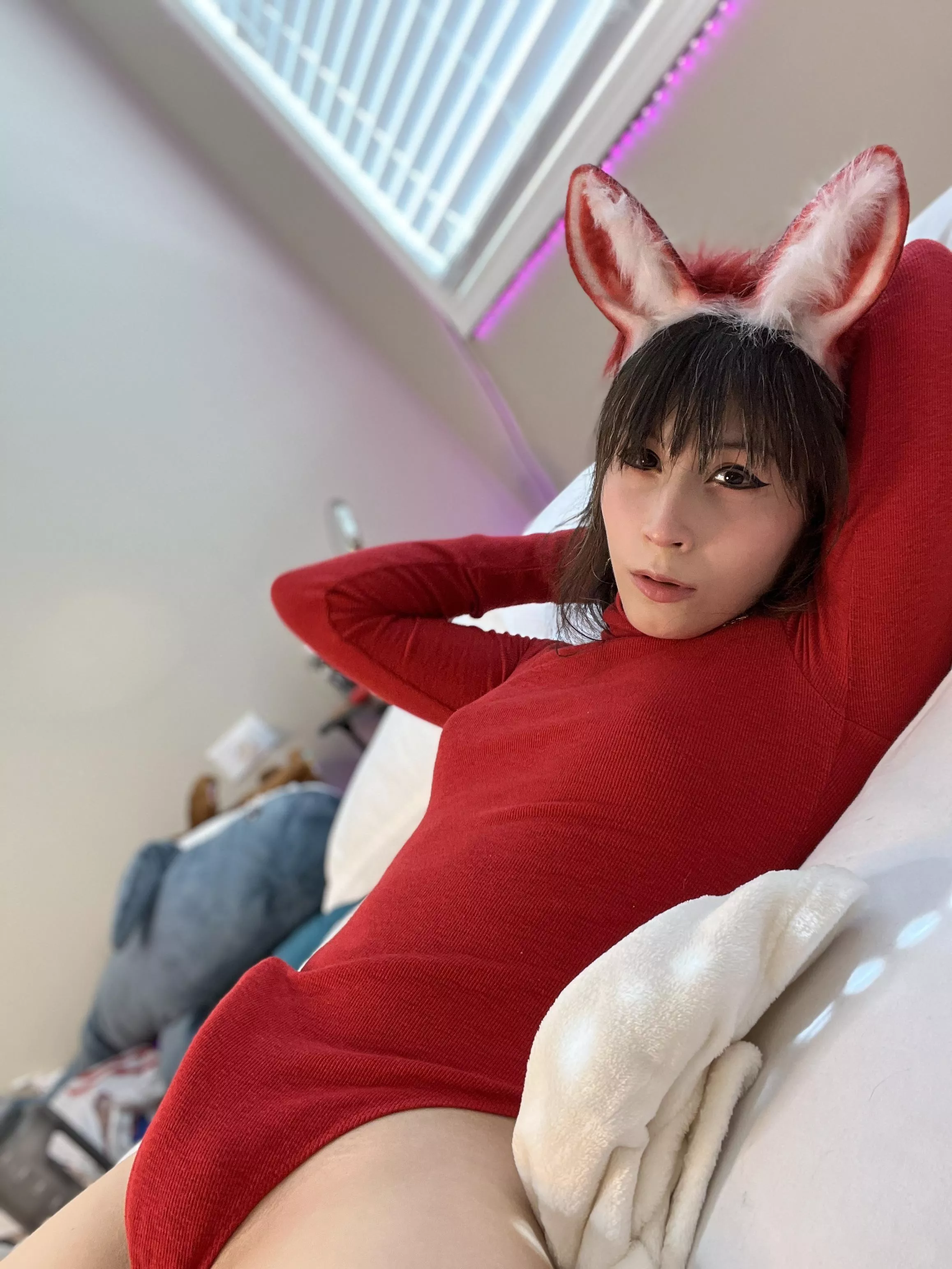Do we like a bunny bulge?