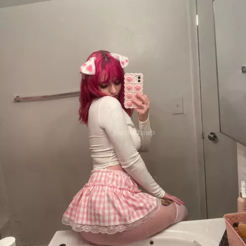 do you let your pet girls on the furniture ?