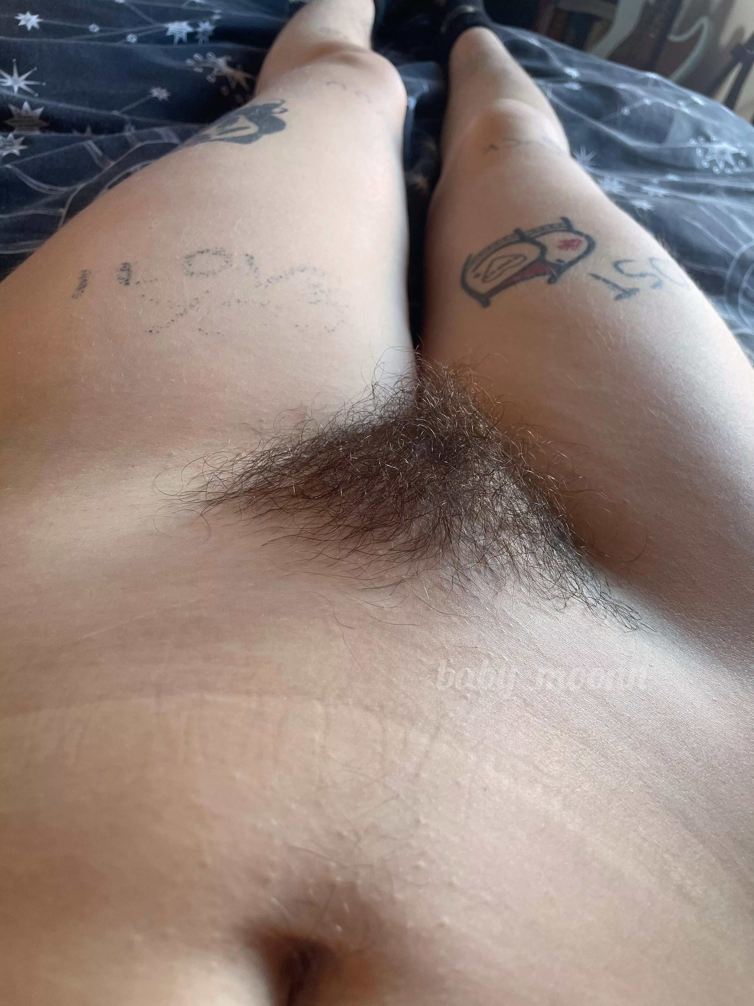 Do you like my bush?