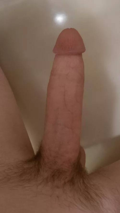 do you like my cock?
