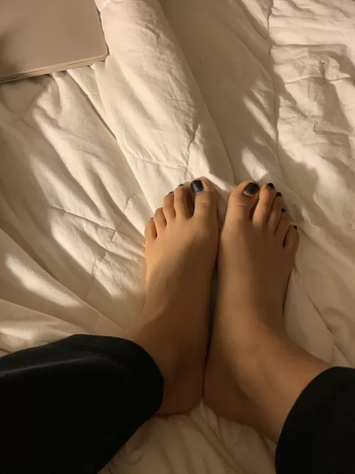 Do you like my toes? Ready to slip on any pair of socks for you! [asianfeet] [asian] [Japanese] [Japanesefeet] [toes] [cutetoes] [sweatyfeet]