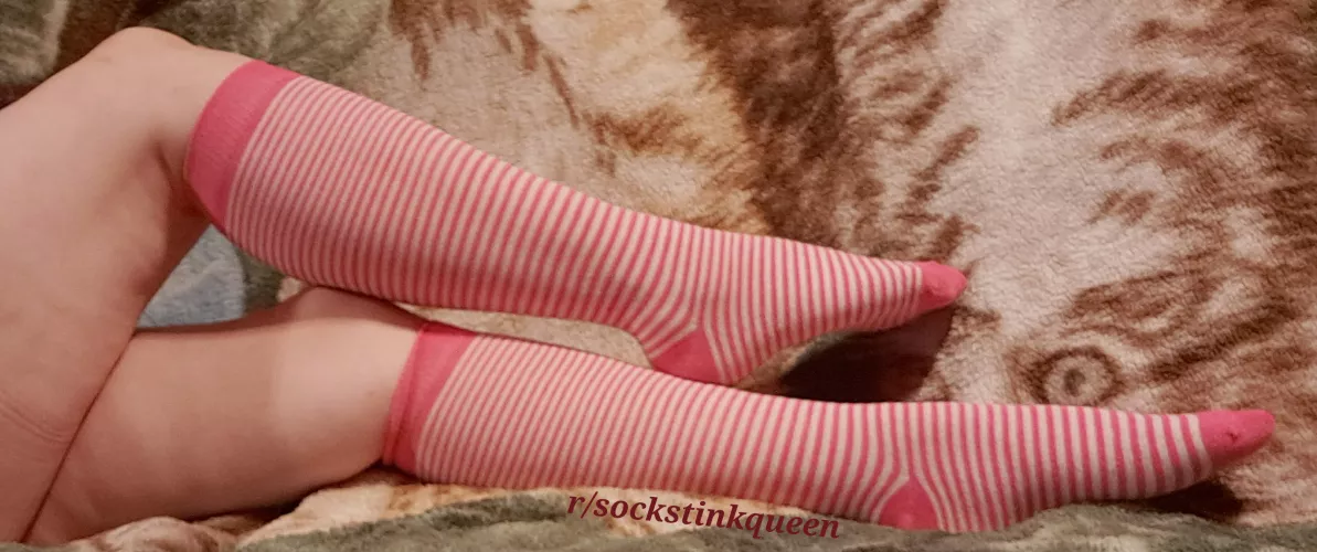 Do you love my kneehighs as much as I do? ❤