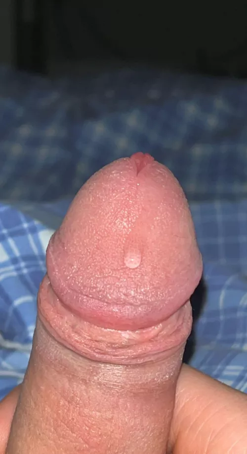 Do you wanna lick it up???