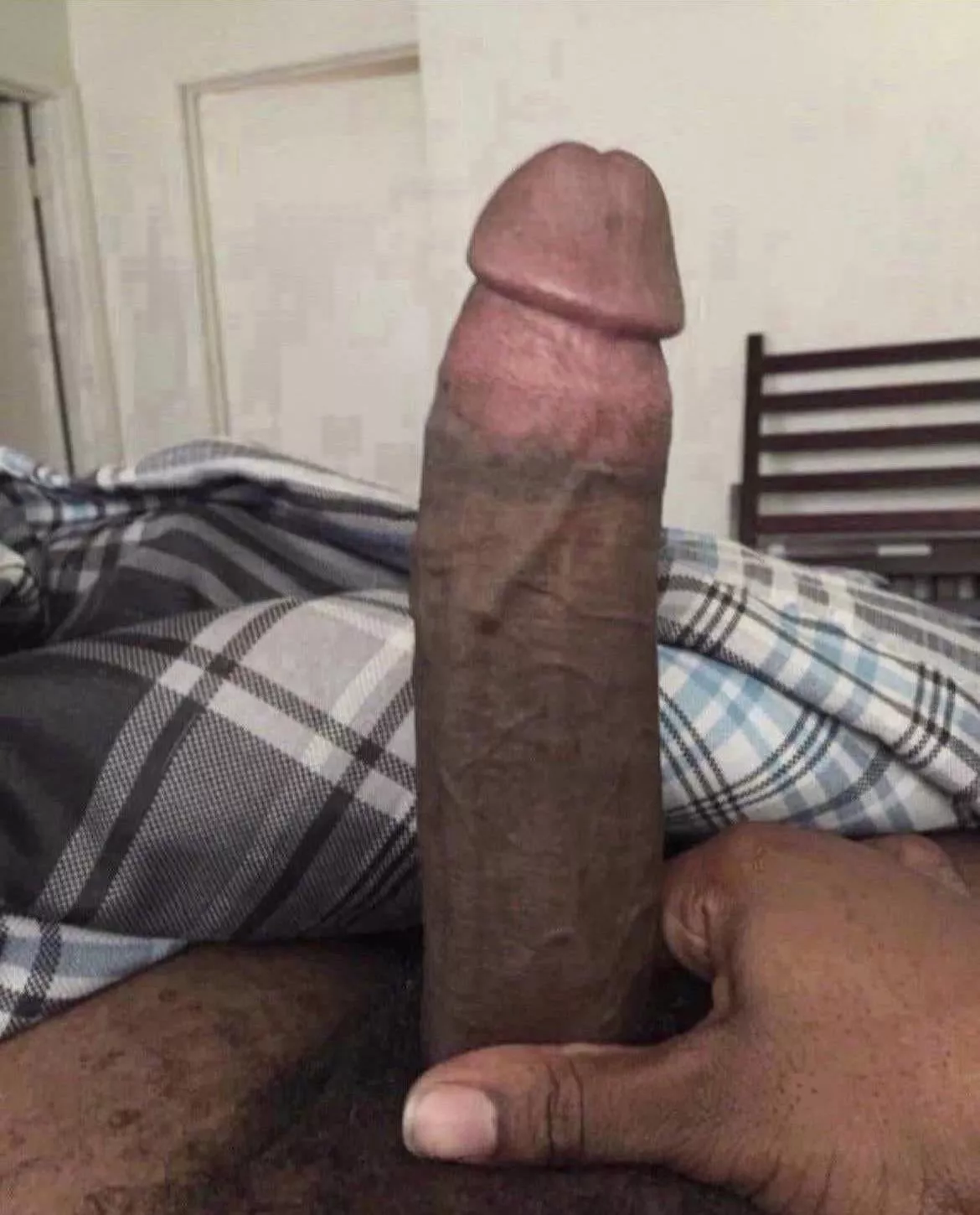 doggy?