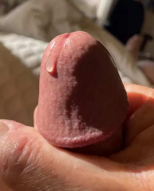 Drooling dick