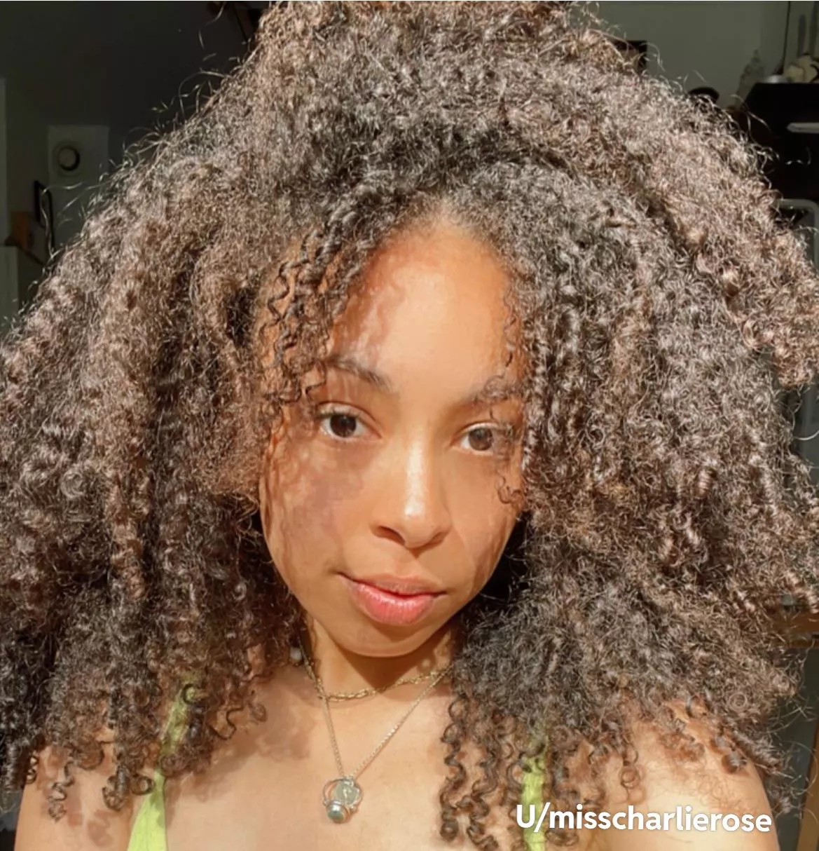 Dutch x Surinamese